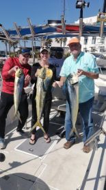 San Jose del Cabo Report Photo 1