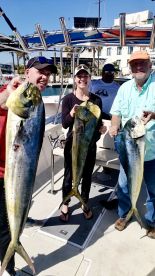 San Jose del Cabo Report Photo 2