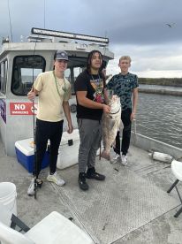 Lafitte Report Photo 1