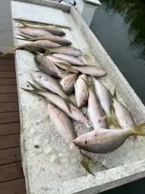 Ramrod Key Report Photo 1
