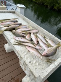 Ramrod Key Report Photo 2