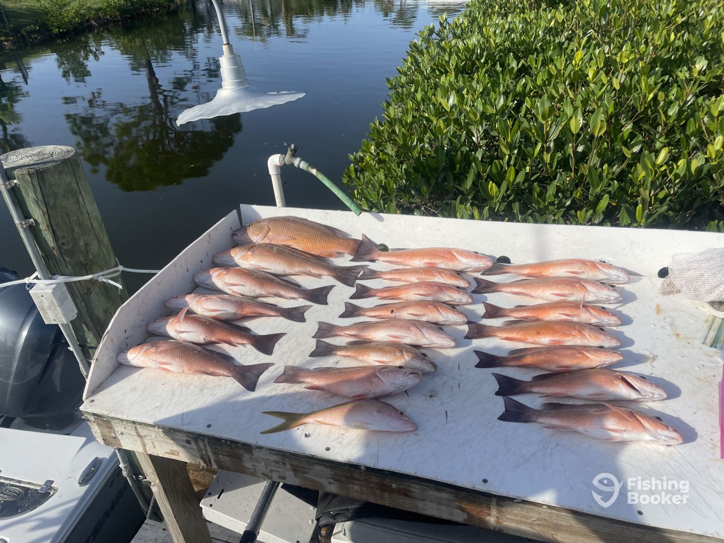Daily Nokomis Fishing Reports (June 2023)