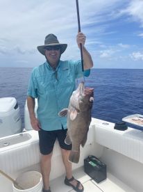 Snowy Grouper
