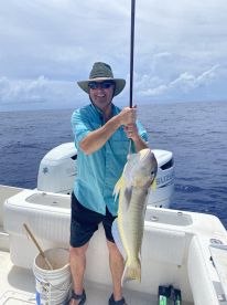 Golden Tilefish
