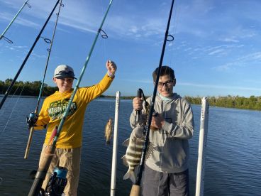 Sheepshead