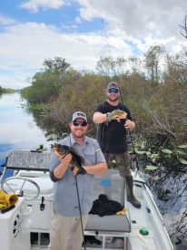Slaying the Peacock Bass at Miami canal!