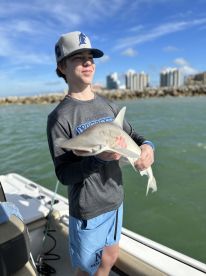 Belleair Bluffs Report Photo 2