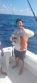 Puerto Aventuras Report Photo 1