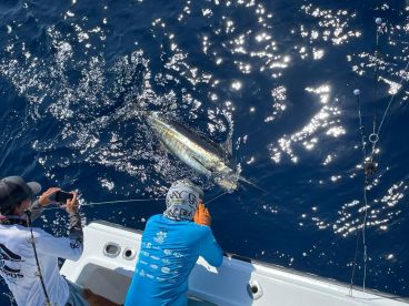 2023 Blue Marlin