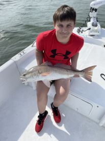 Recent Catches