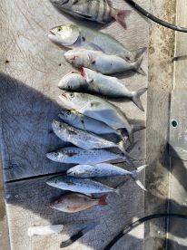 Port Canaveral Report Photo 2