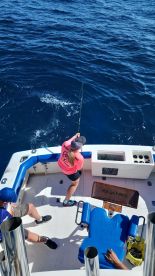 Cabo San Lucas Report Photo 2