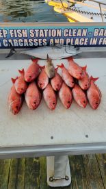 January fishing