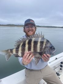 The sheepshead are biting 