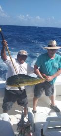 Puerto Aventuras Report Photo 1