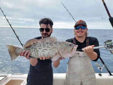 Clearwater Report Photo 1