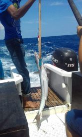 Cuvu Report Photo 2