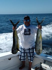 Mahi Mahi Mania 