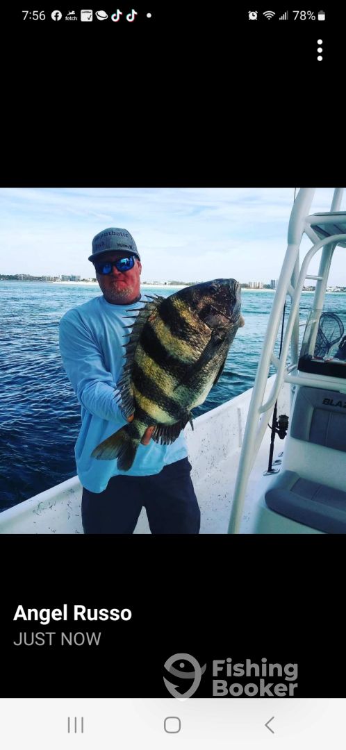 Orange Beach Report Photo 0