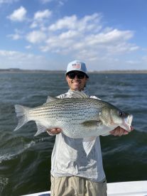 Fly Fishing Hybrid Striped Bass in Austi
