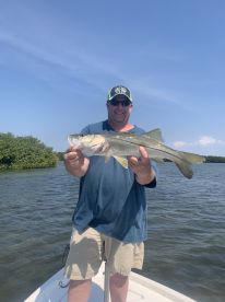 Sarasota Report Photo 1