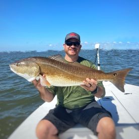 Big spring reds