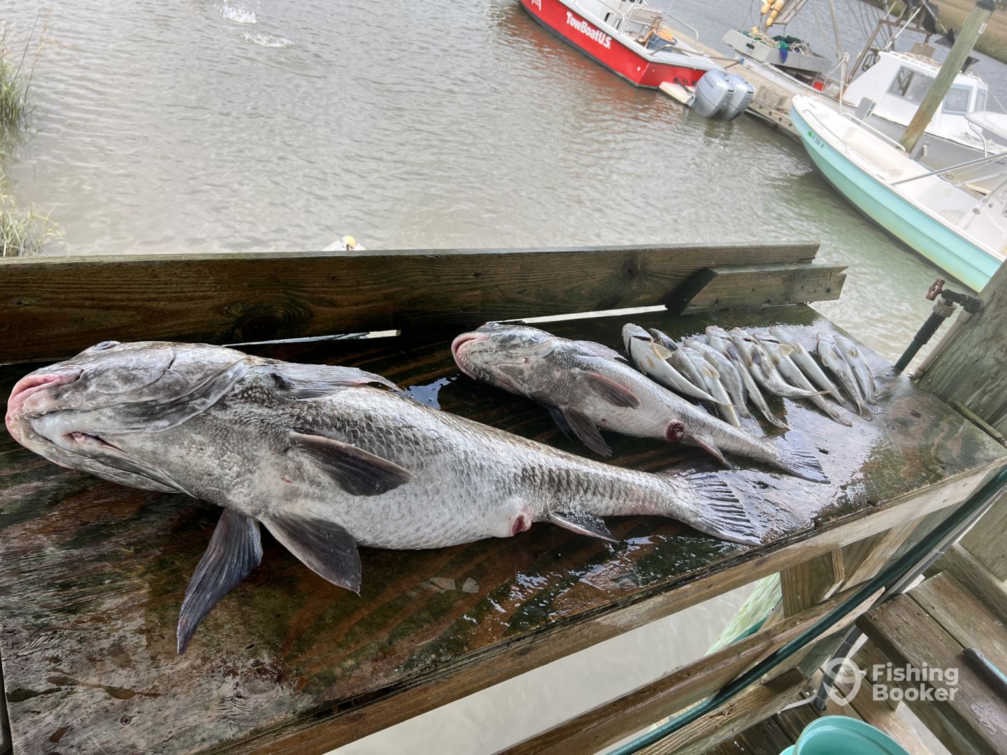 Fernandina Beach Report Photo 0