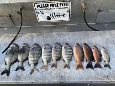 Port Canaveral Report Photo 2