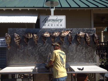 Destin Report Photo 1
