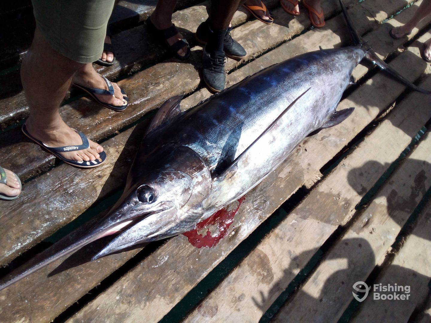 Santa Maria Report Photo 0
