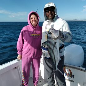 San Jose del Cabo Report Photo 1