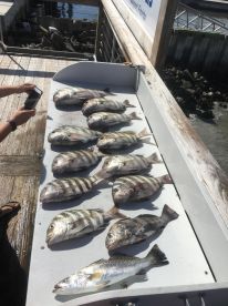 Jacksonville Report Photo 2