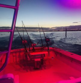 Sandys Report Photo 2