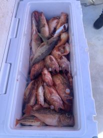 Huntington Beach Report Photo 1