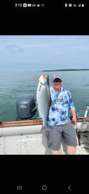 Time to Target the Atlantic Salmon on To