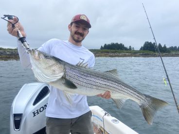 Last years trophy; 43” 28lbs 