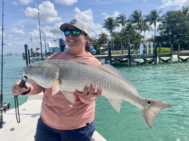 Sarasota Report Photo 2