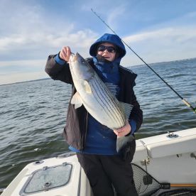 Hot striper bite lock in your dates ?