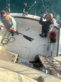 Algoma Report Photo 2