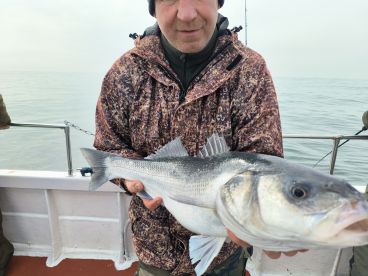 Eastbourne Report Photo 2