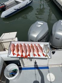 Palm Coast Report Photo 2