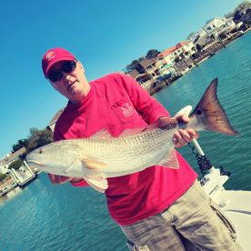 Redrum! Redrum! Redrum!