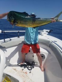 The fish are really getting fired up!