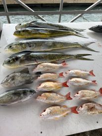 Vero Beach Report Photo 2