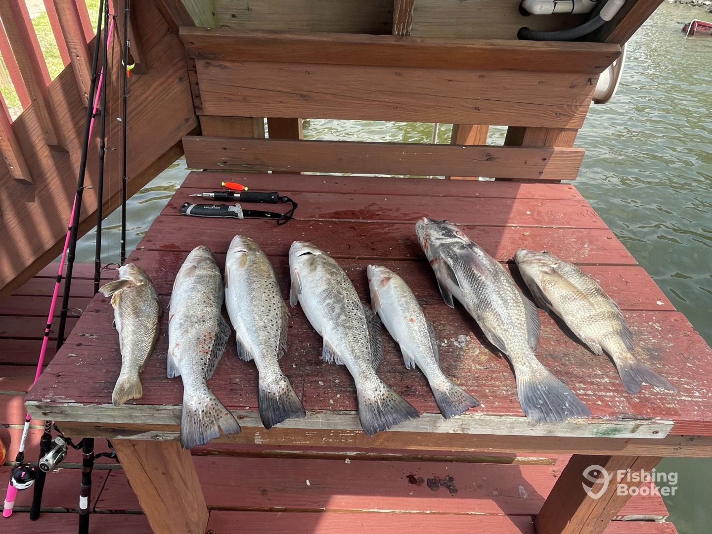 Galveston Report Photo 0