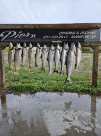 Manistee Report Photo 1