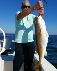 Pensacola Report Photo 1