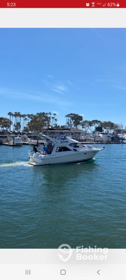 Dana Point Report Photo 0