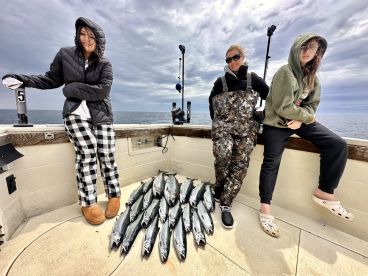 Algoma Report Photo 1
