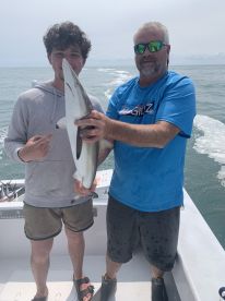Blacktip sharks and Spanish Mackerel